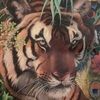 yazznolaart